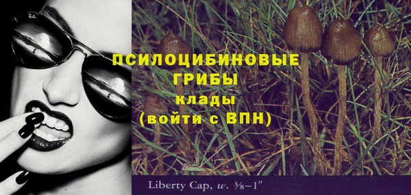 соль ск Кукмор