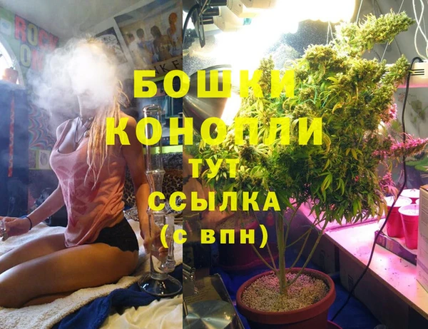 соль ск Кукмор