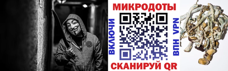 Купить закладки Канск Псилоцибиновые грибы мухоморы
